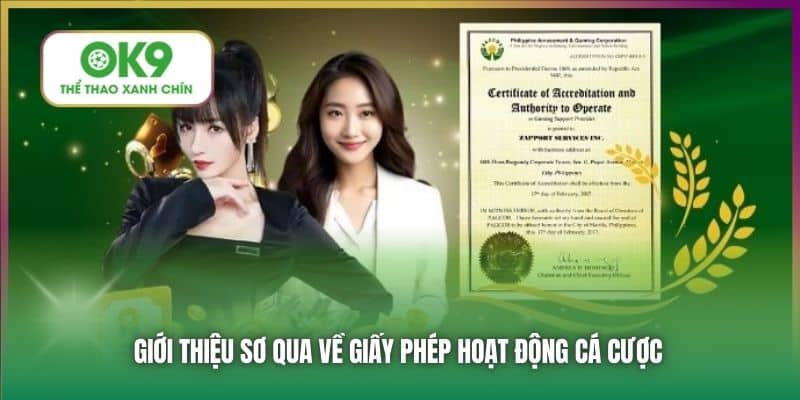 Giới thiệu sơ qua về giấy phép hoạt động cá cược